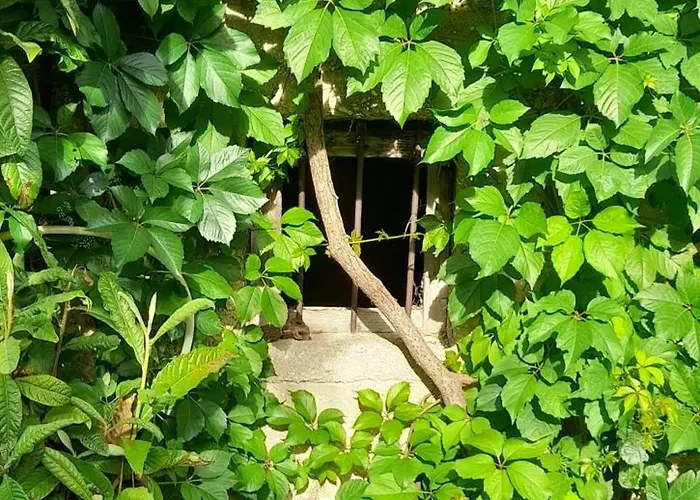 Dida Roko, Rustikalni S Terasom Apartmán Kaštela