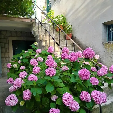 Dida Roko, Rustikalni S Terasom * Kastela