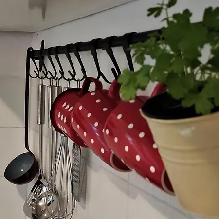 Apartment Dida Roko, Rustikalni S Terasom