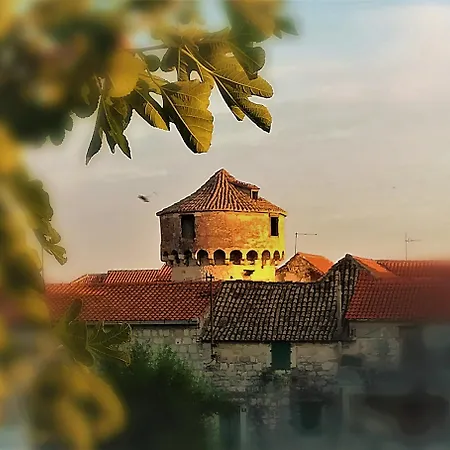 Dida Roko, Rustikalni S Terasom *