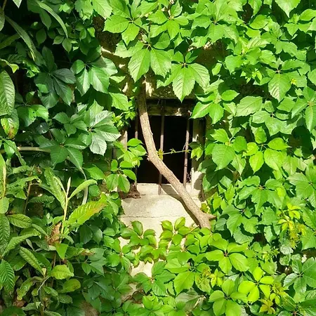 Dida Roko, Rustikalni S Terasom Lejlighed Kaštela