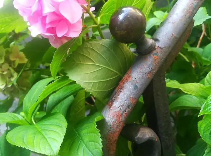 Dida Roko, Rustikalni S Terasom Lejlighed *