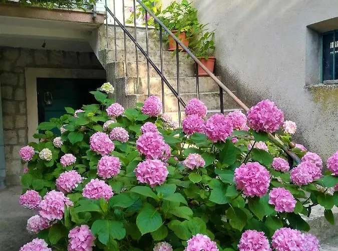 Dida Roko, Rustikalni S Terasom * Kaštela