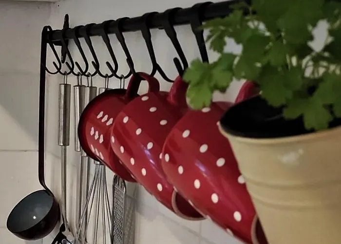 Lejlighed Dida Roko, Rustikalni S Terasom