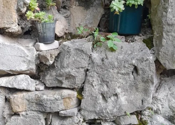 Dida Roko, Rustikalni S Terasom *